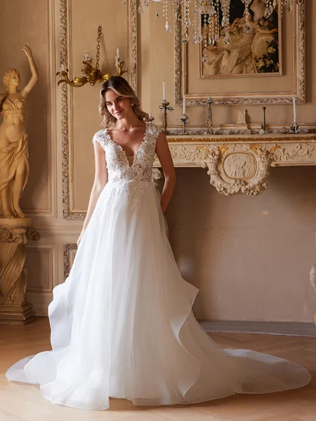 A-line kjole kjole Organza...