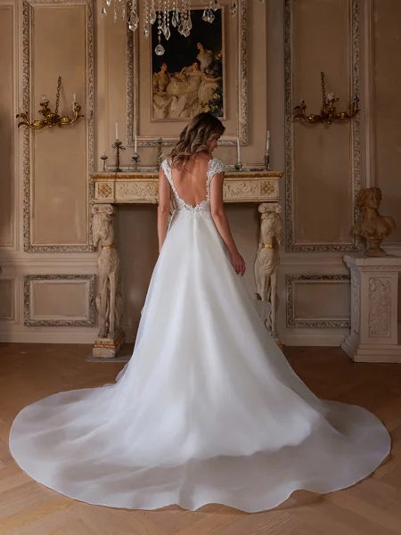 A-line kjole kjole Organza...