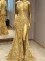 Sheath En skuldret Applikasjoner Blonder Gulvlengde Tyll Ballkjole