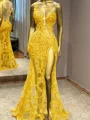 Sheath En skuldret Applikasjoner Blonder Gulvlengde Tyll Ballkjole