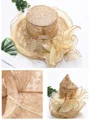 Damer Glamourøse Organza Silke Blomst Justerbare Kentucky Derby Hatter/Te Party Hatter