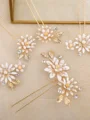 Beautiful Alloy With Flower Combs & Barrettes(5 Pieces)