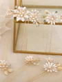 Beautiful Alloy With Flower Combs & Barrettes(5 Pieces)