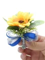 Fantastisk friform stoff knapphullsblomst (selges enkeltvis)