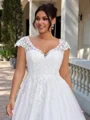 A-line kjole V-hals Applikasjoner Blonder Bane-tog Tyll Plus Size Brudekjoler